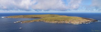 North Neptune Islands - SA (PBH3 00 25746)